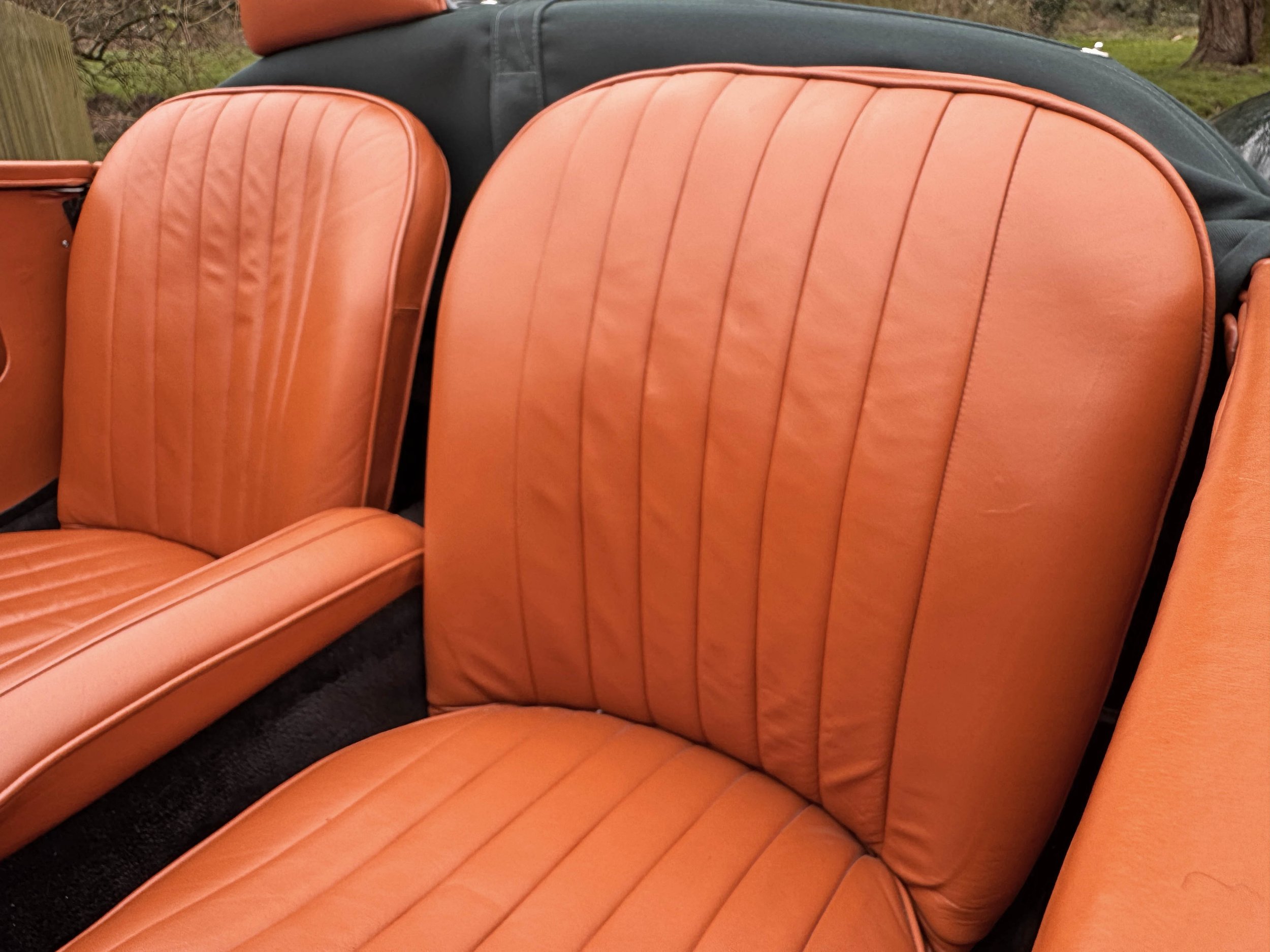 INTERIOR SEATS.jpg
