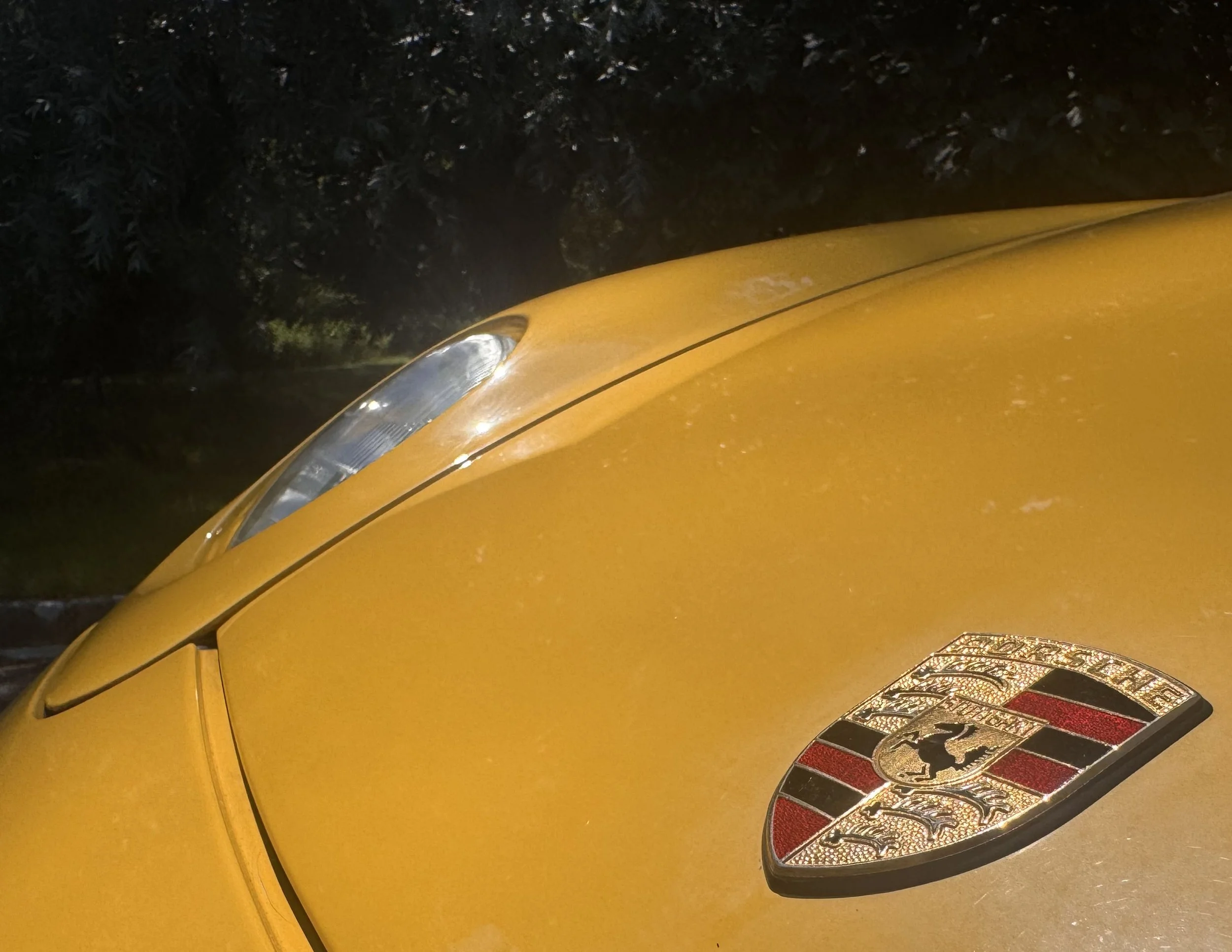 DETAIL BADGE.jpg