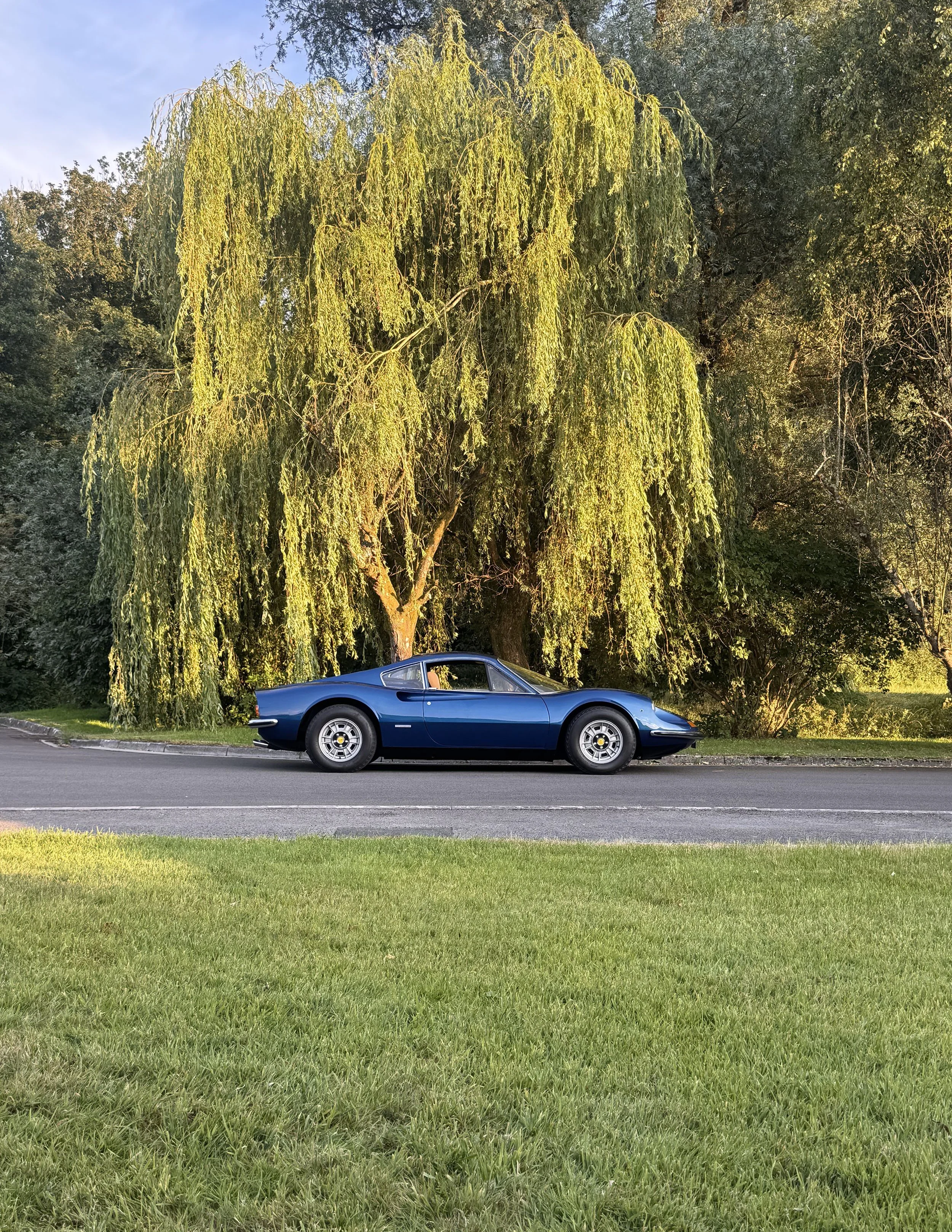 IMG_9094.jpeg