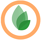 SEED