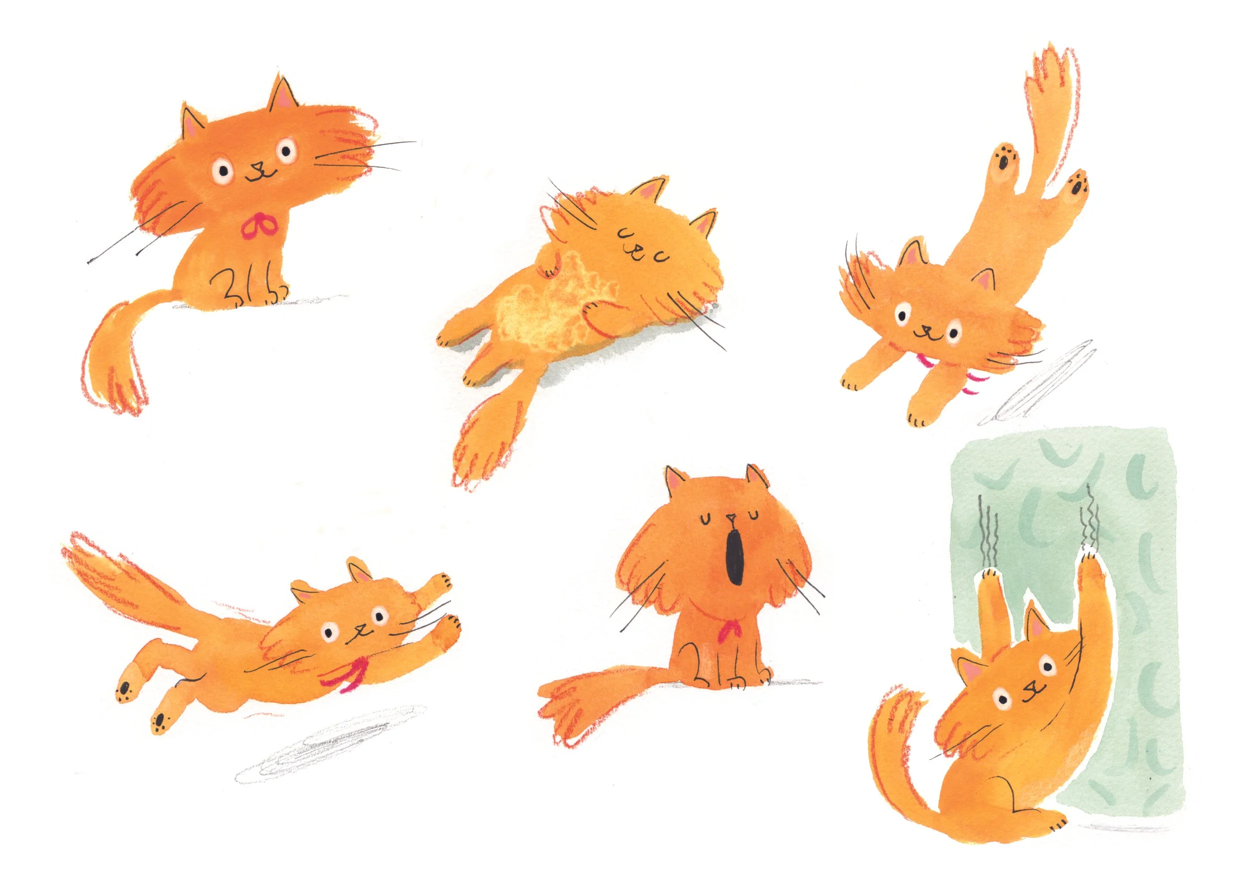 Cat character sketches.jpg