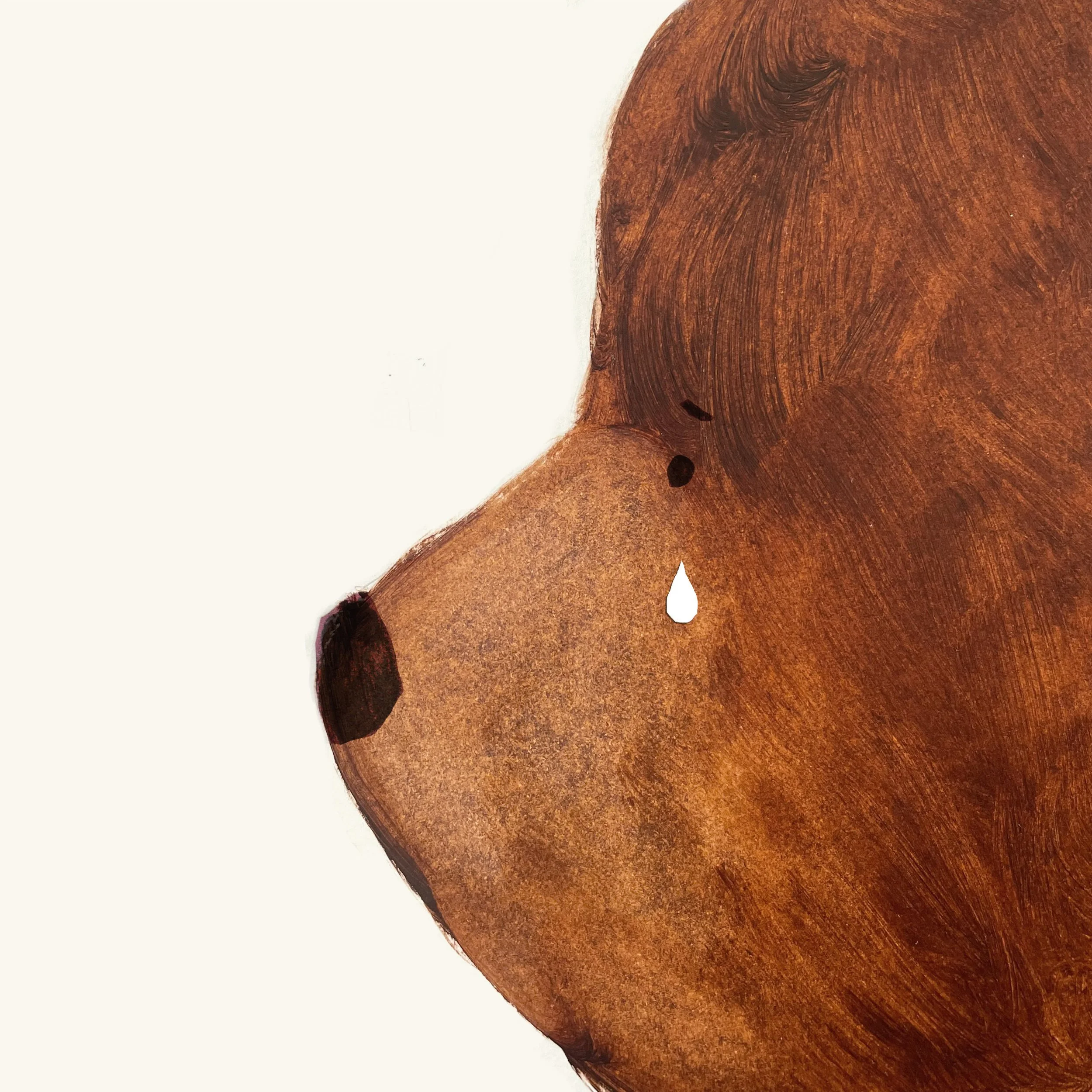 Harold and Bear top.jpg