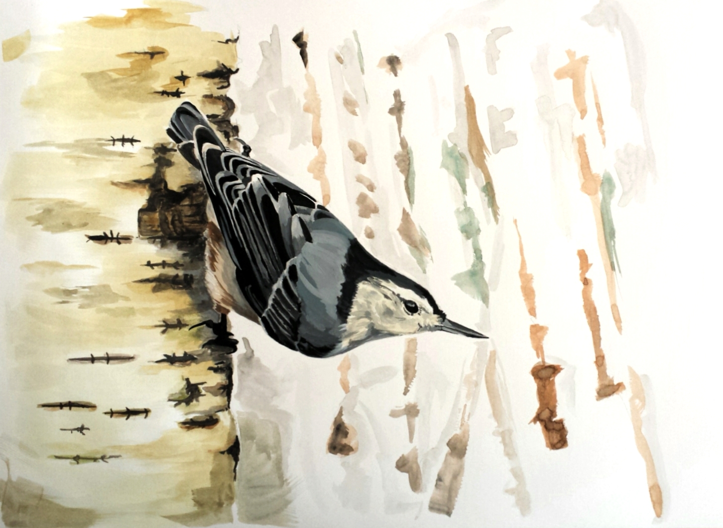 The Nuthatch