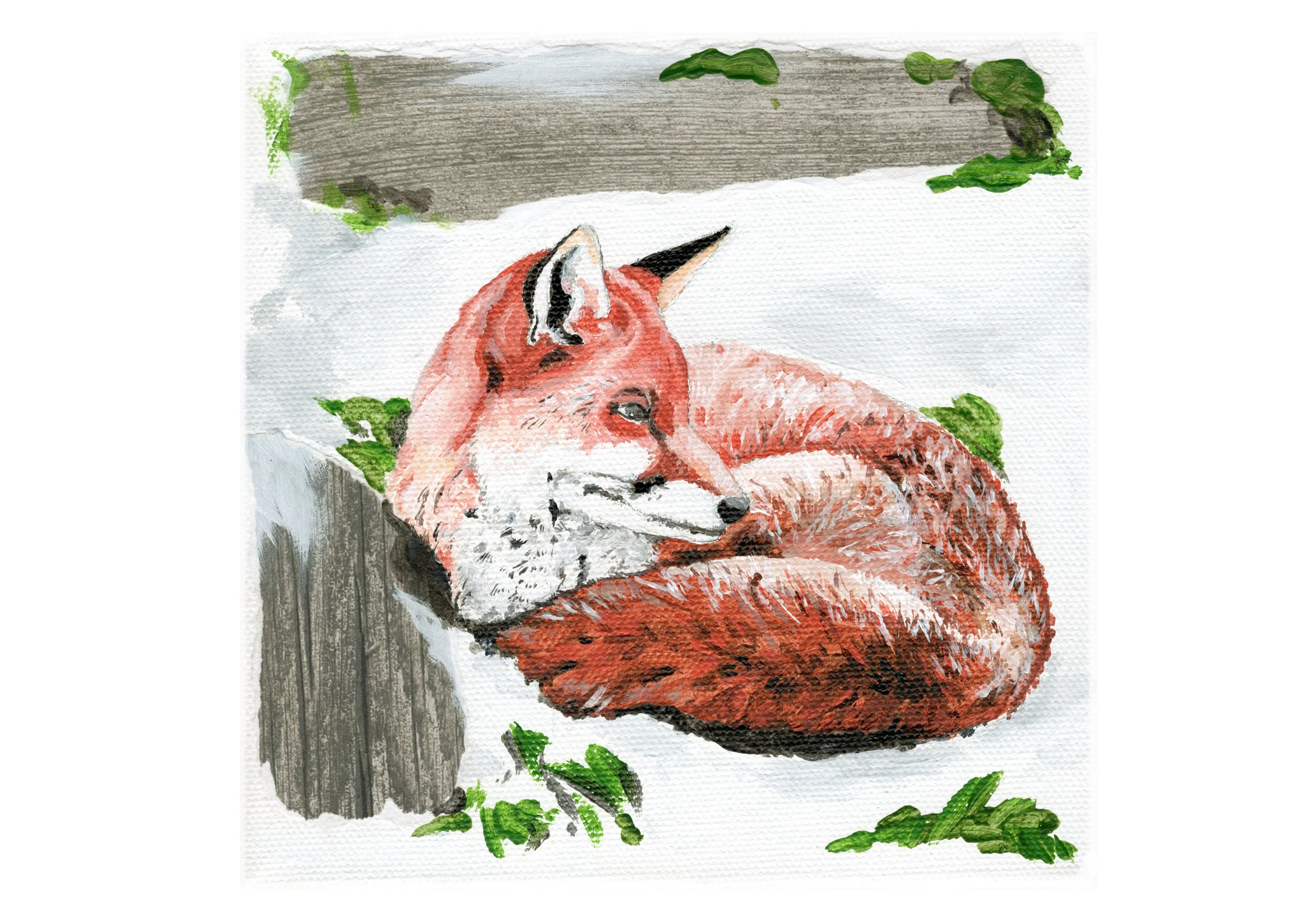 Fox-web.jpg