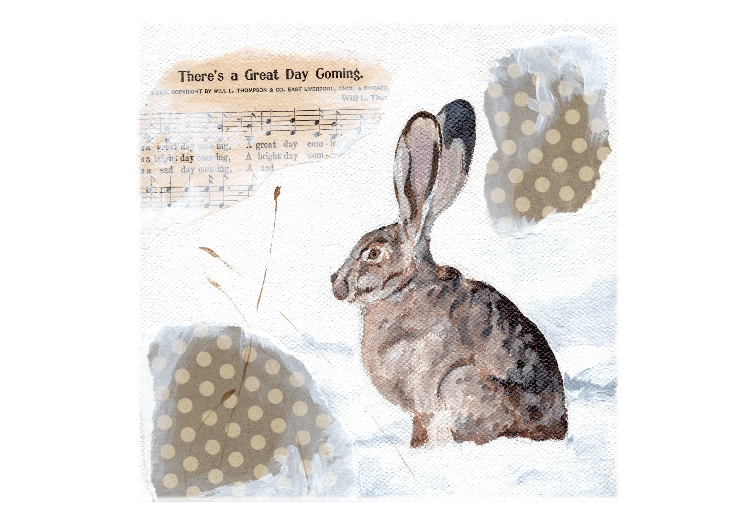 Rabbit-web.jpg