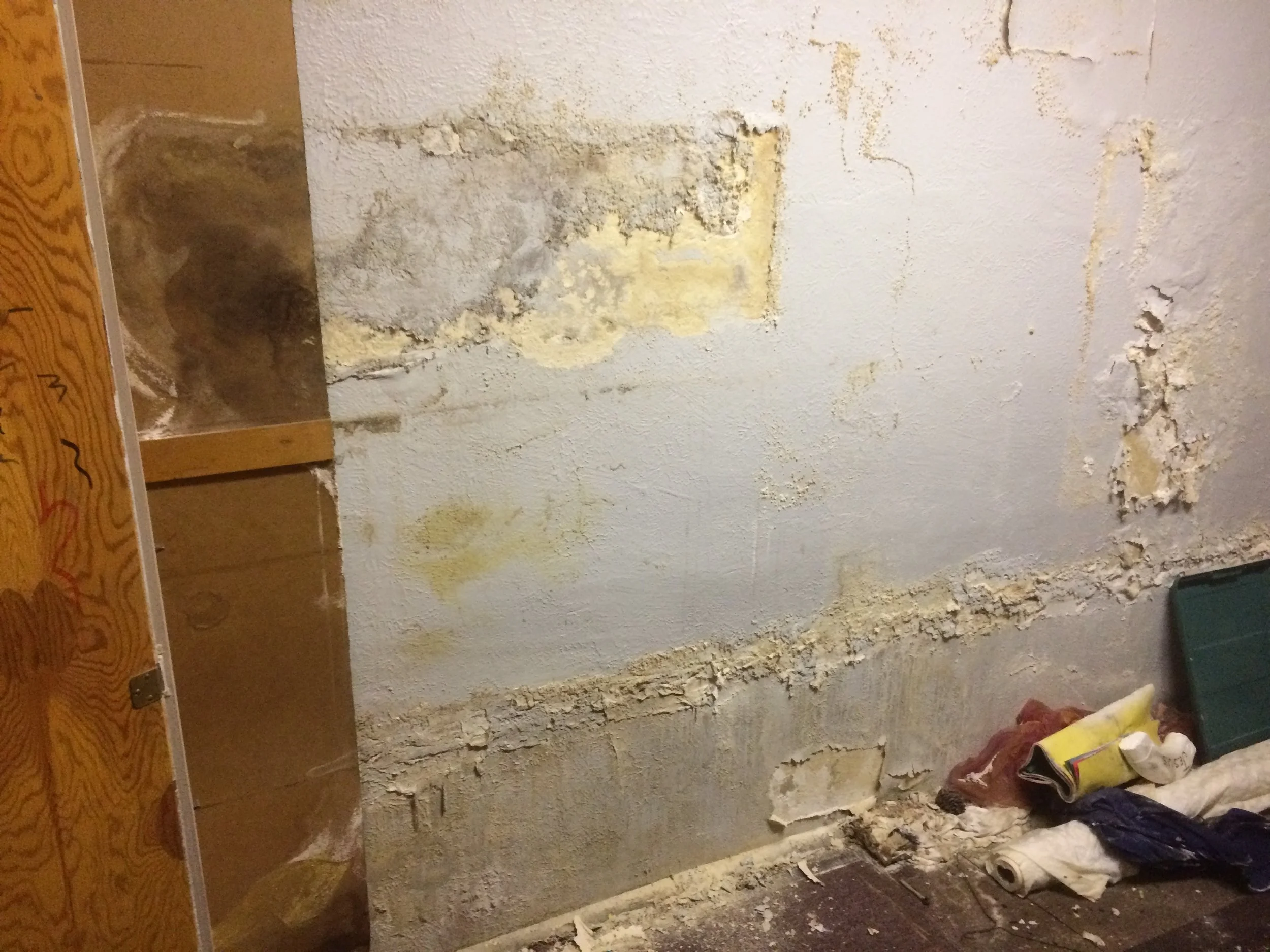 A broad view of the read storage wall behind the cabinets, showing seepage high and low. 