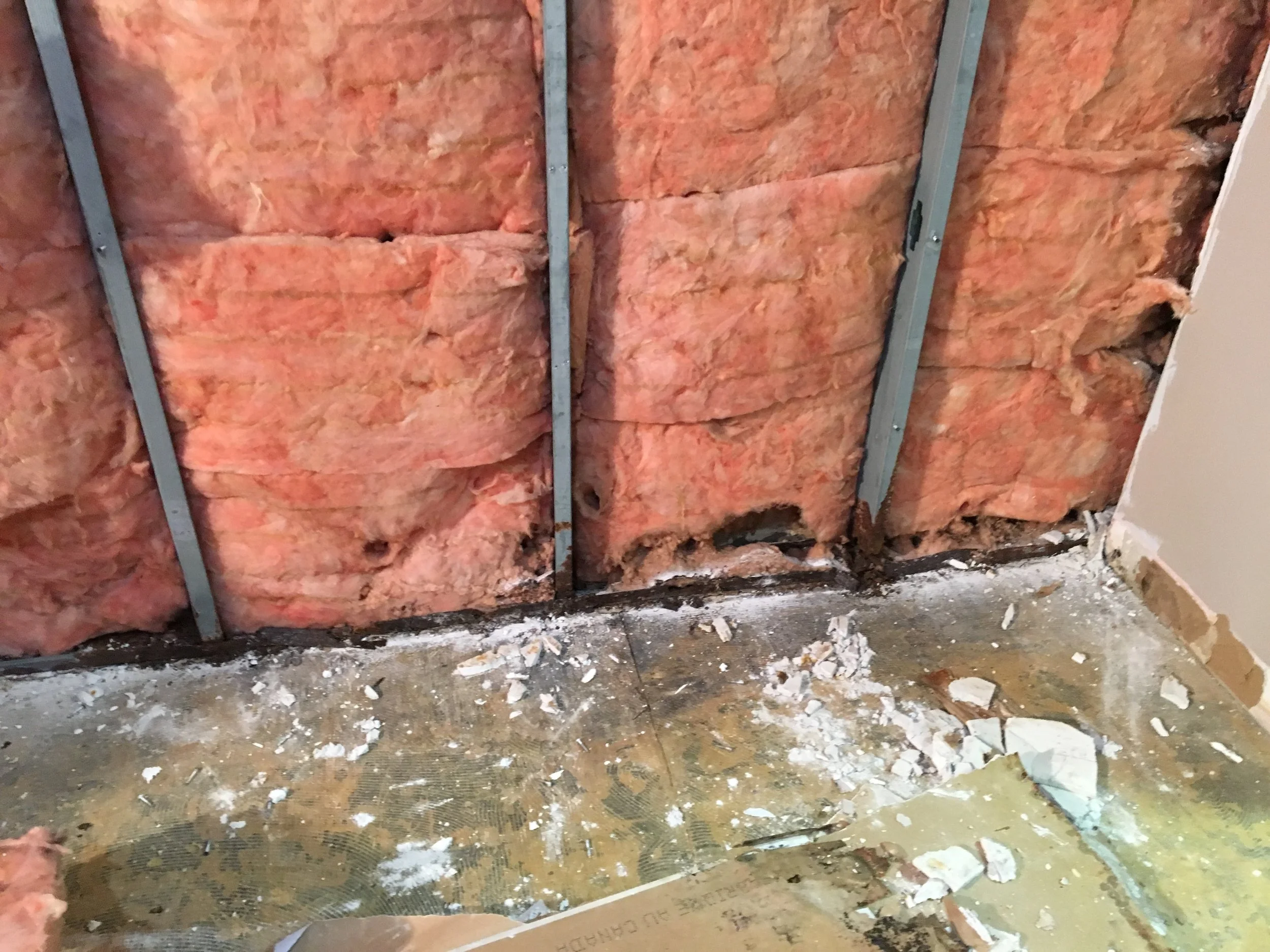 During the Nursery/CE Room renovation, removing the existing walls, we discovered the metal studs and sill plate (running on the floor, on which all studs rest) had completely rusted away. That is evidence of longstanding moisture in this location. In other words, this is a continuing problem that will not "go away" because we ignore it. 