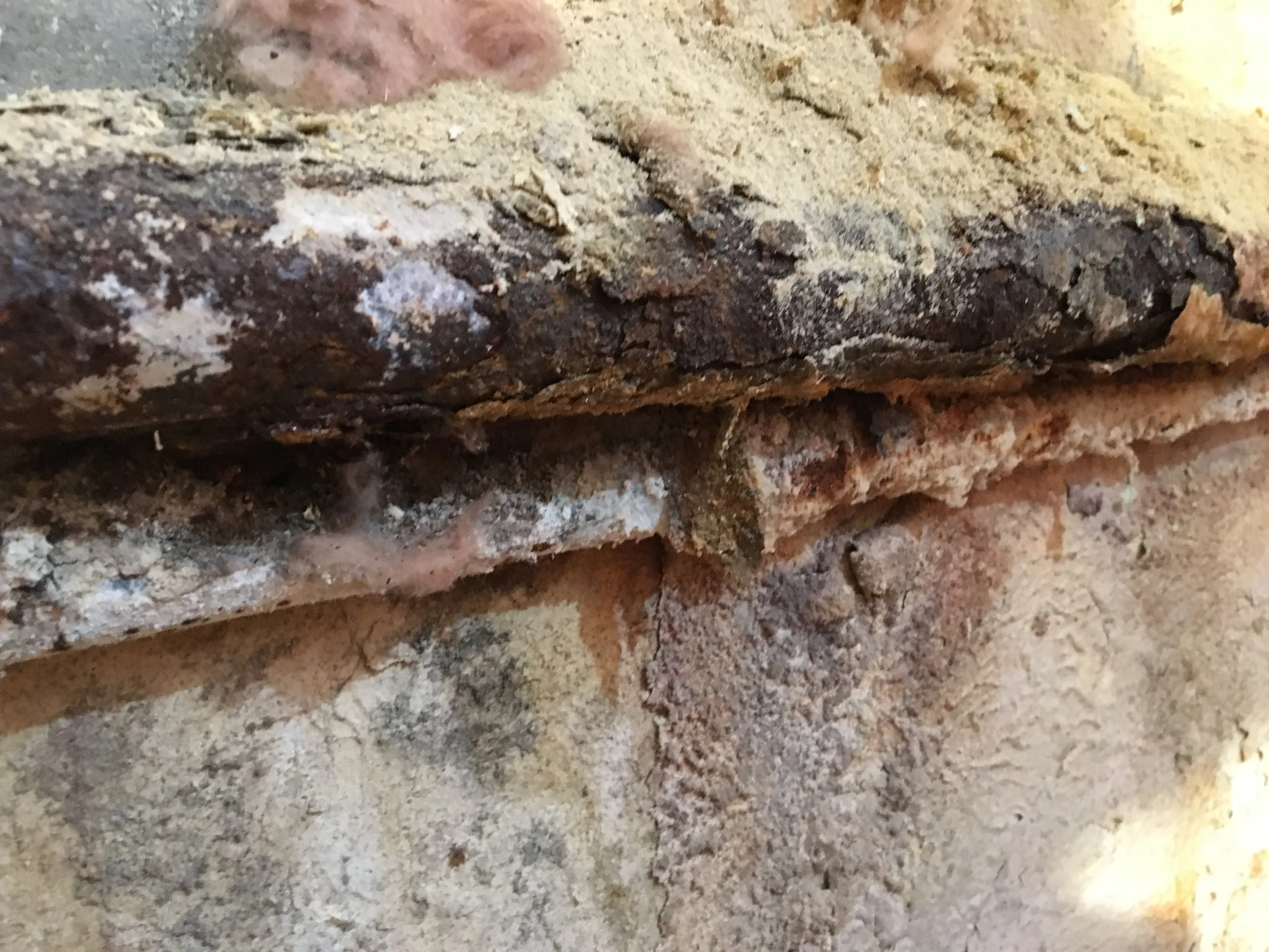 Detail shot of rust, mould, mildew and general deteriorating wall material building up on one of the old defunct pipes. All this and more are hiding behind our drywall on the actual foundation walls.