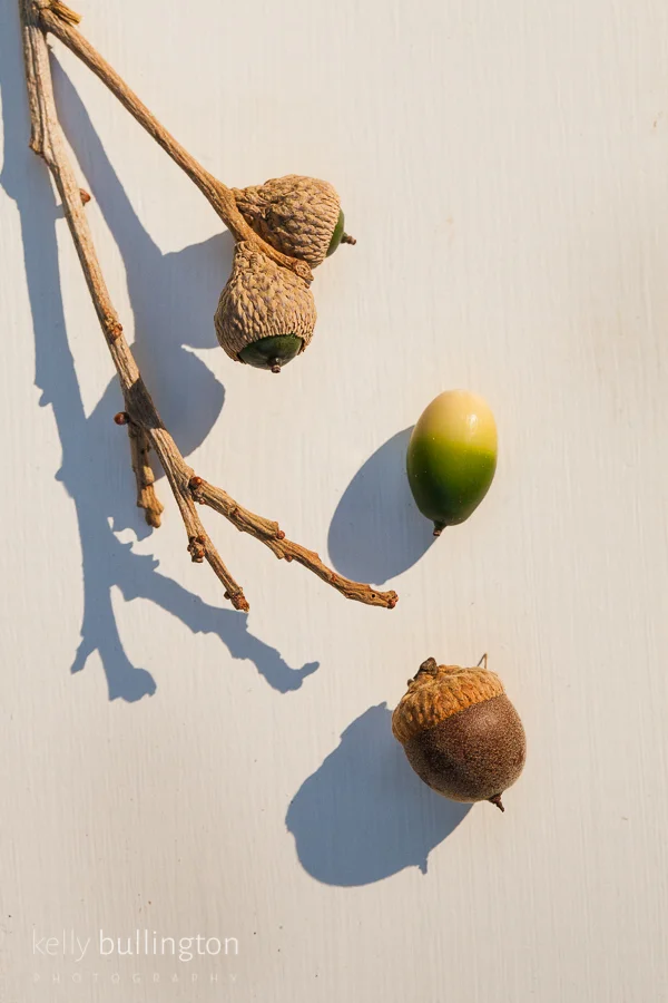 Kelly Bullington Photography-2