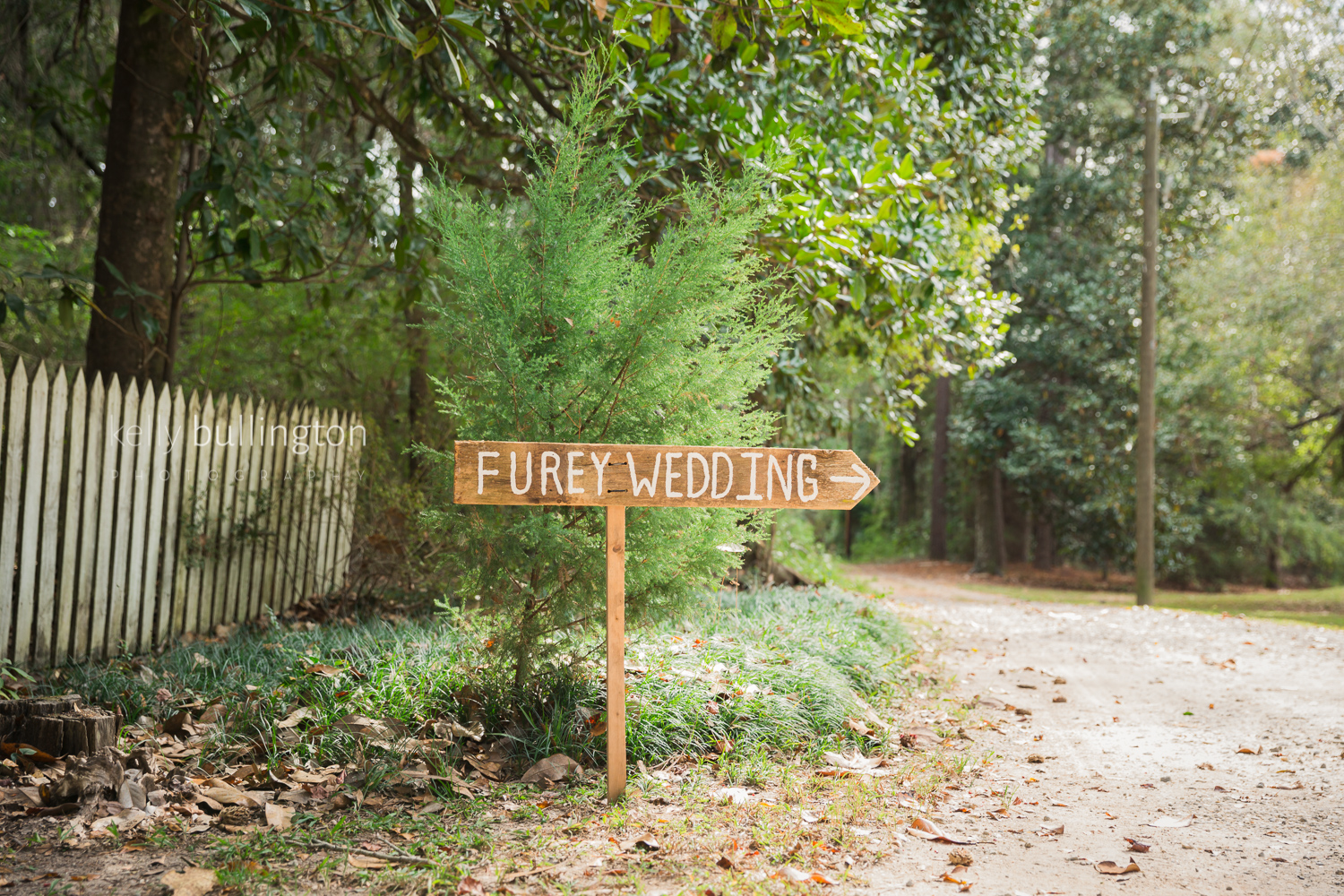 Fairhope Small Wedding Photographer