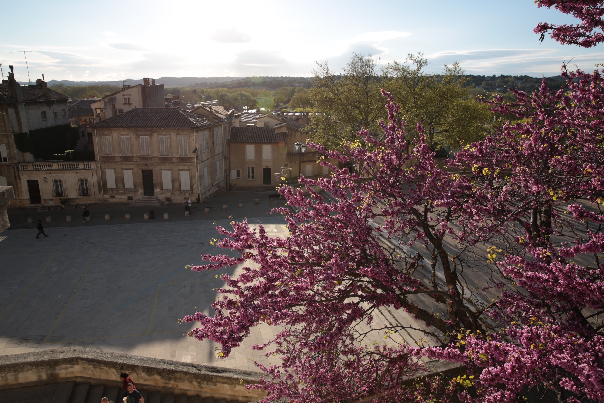 provence-avignon-travel-family-photography-kelly-bullington