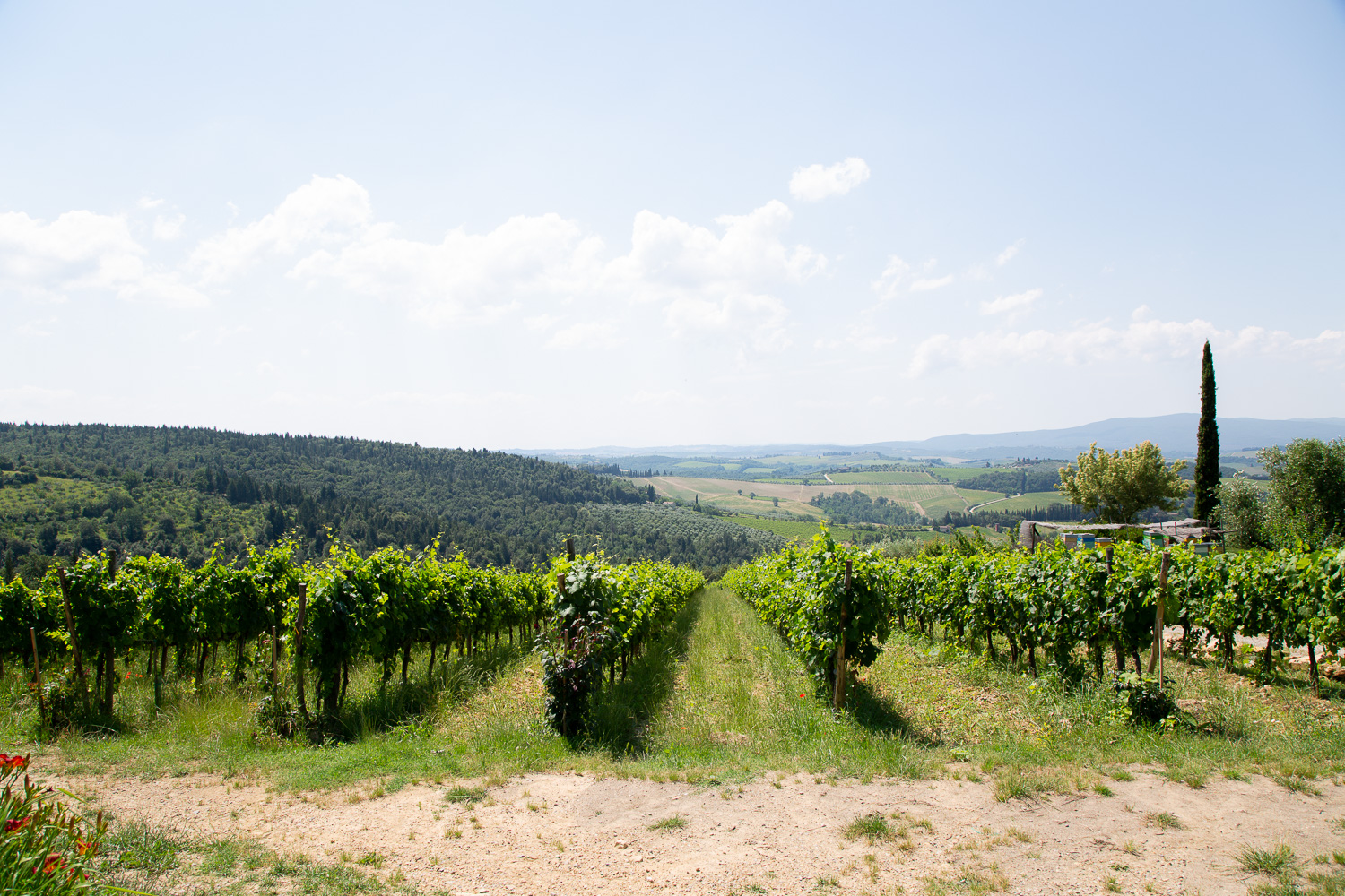 tuscan wine tour
