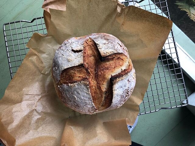 Bread skills. I can now add homemade bread to my kitchen resume. Whatever quarantine day # this is- is how many loaves I&rsquo;ve produced- minus a week. #sourdoughbread #flourshortage #breadskills