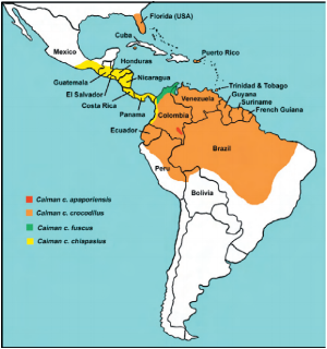 caiman_croc_map.png