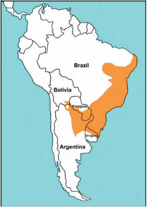 latirostris_map.png