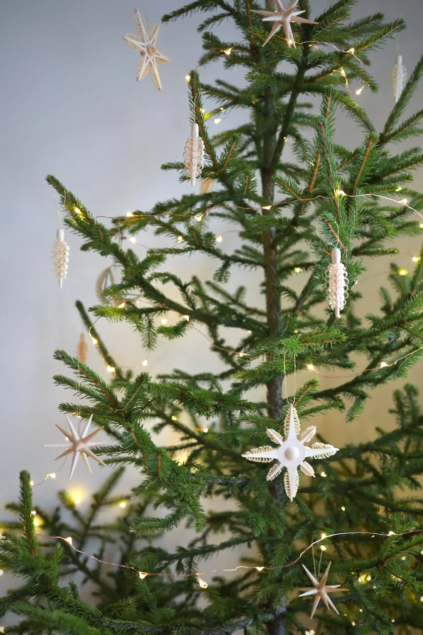 Holiday Shop - 2 of 47.jpeg