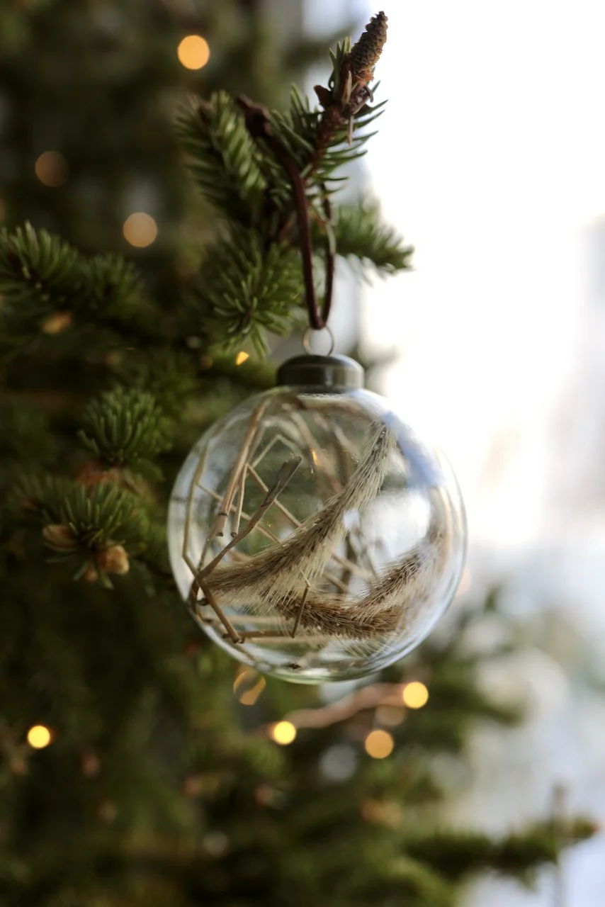 Library - 2 of 15.jpeg