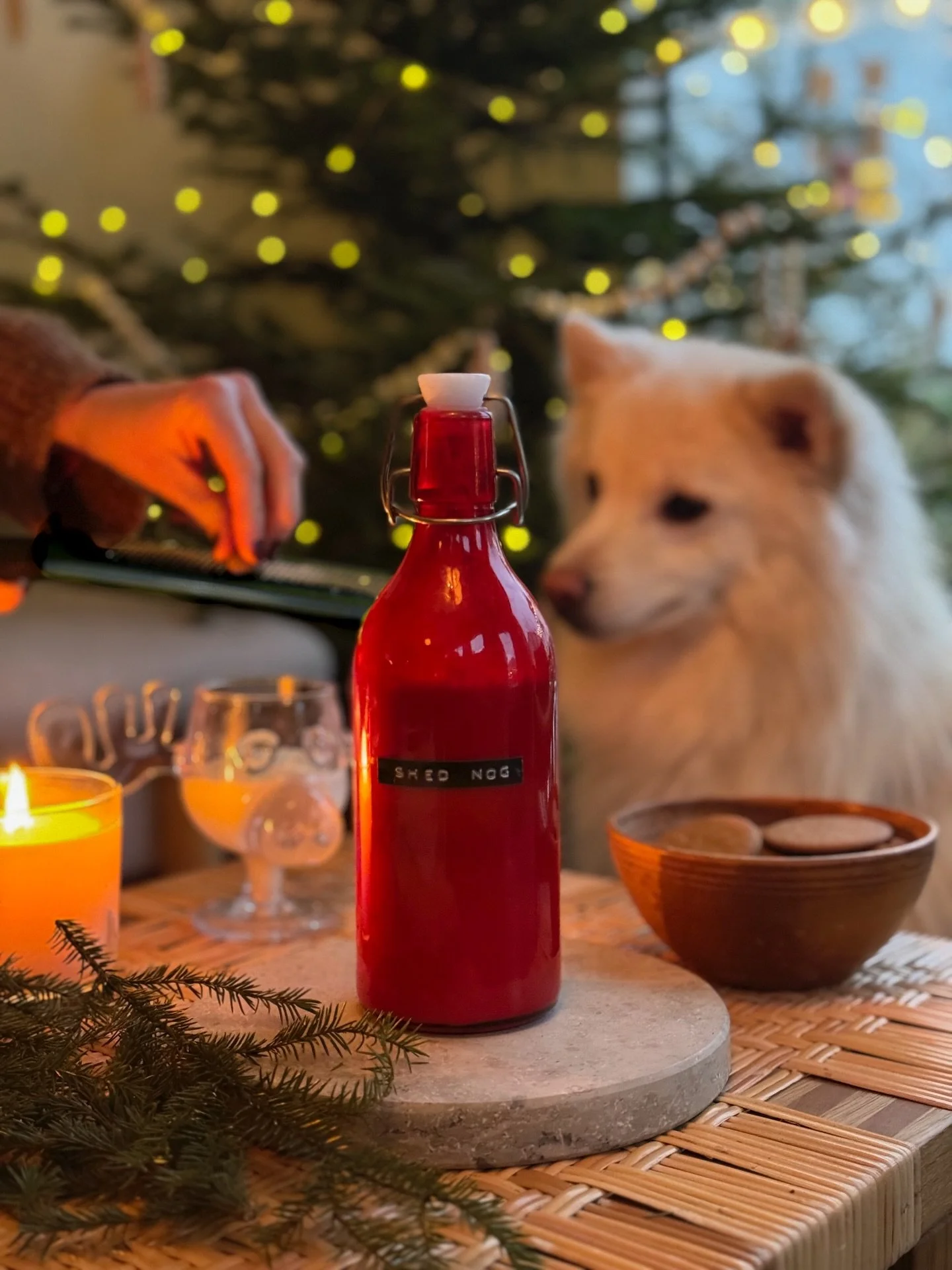 Come get your Shed Nog this weekend! Perfect for Christmas gatherings or company parties, we keep selling out every week of our batches so order online or reserve via messages ~ Also available this year with our famous Christmas Vacation Moose Mugs a