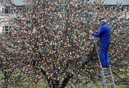 The Easter Egg Tree ~ Thuringia, Germany. A nearly 50-year tradition started by Volker Kraft and his family began in 1965. Starting with just 18 plastic eggs, the tree&rsquo;s decoration grew reached over 10,000 &mdash; hung with care, year after yea