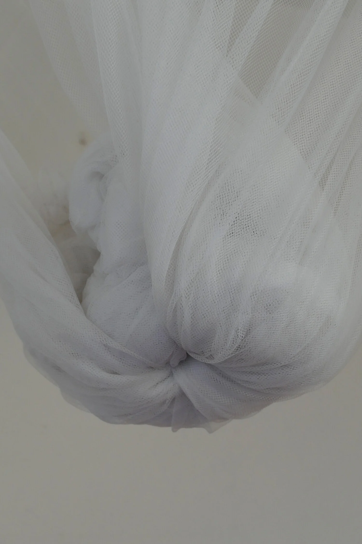 frederique-duboscq-L1050220.jpg