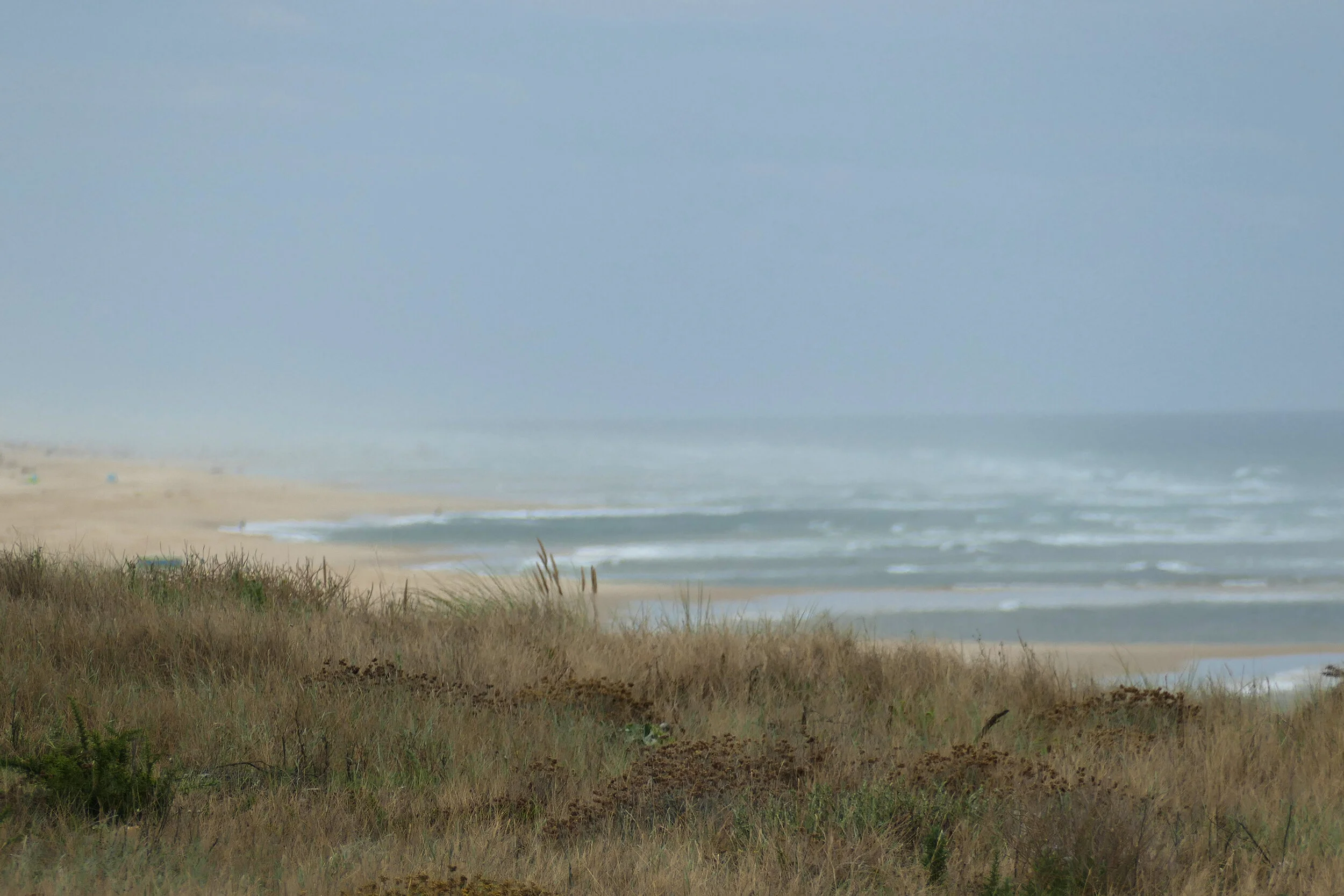 frederique-duboscq-L1050405.jpg