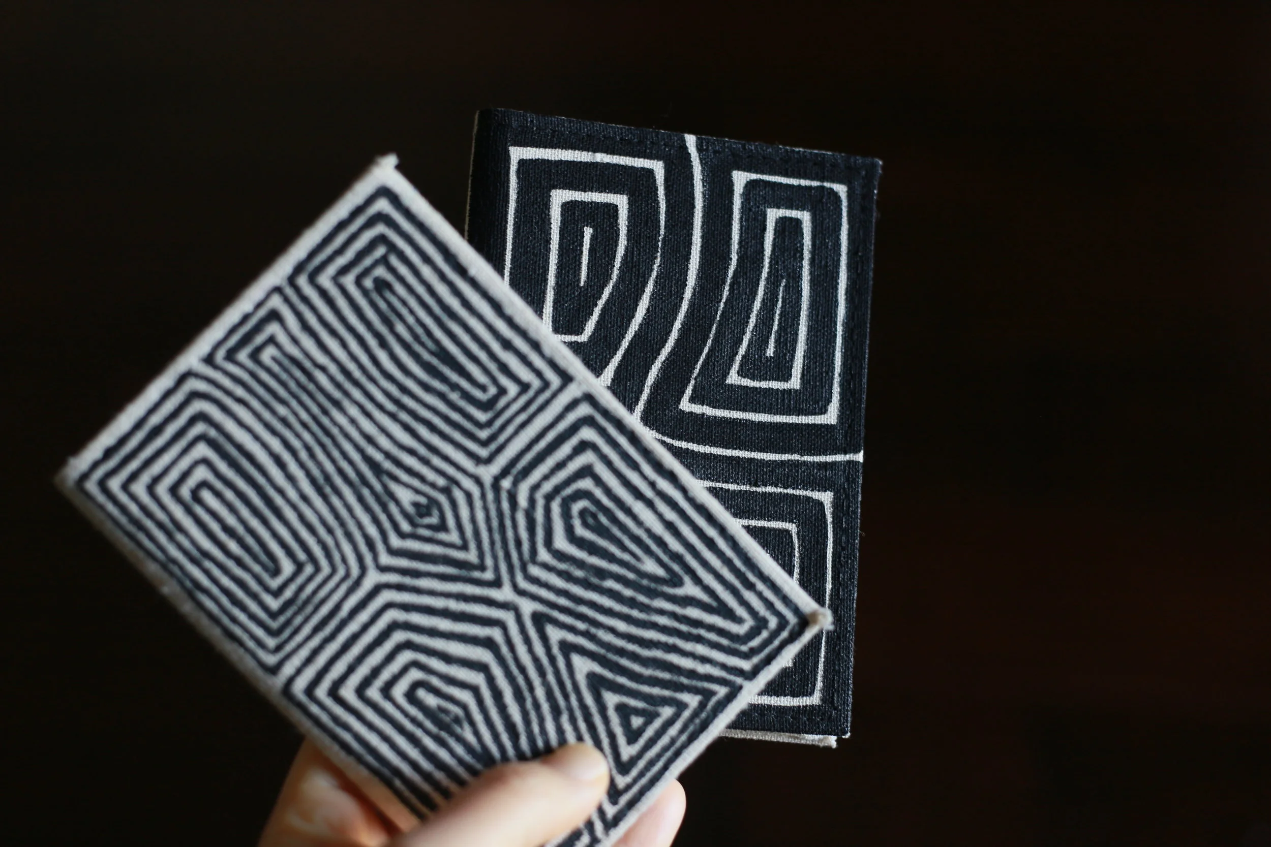 7516802336_IMG_2382 2.JPG