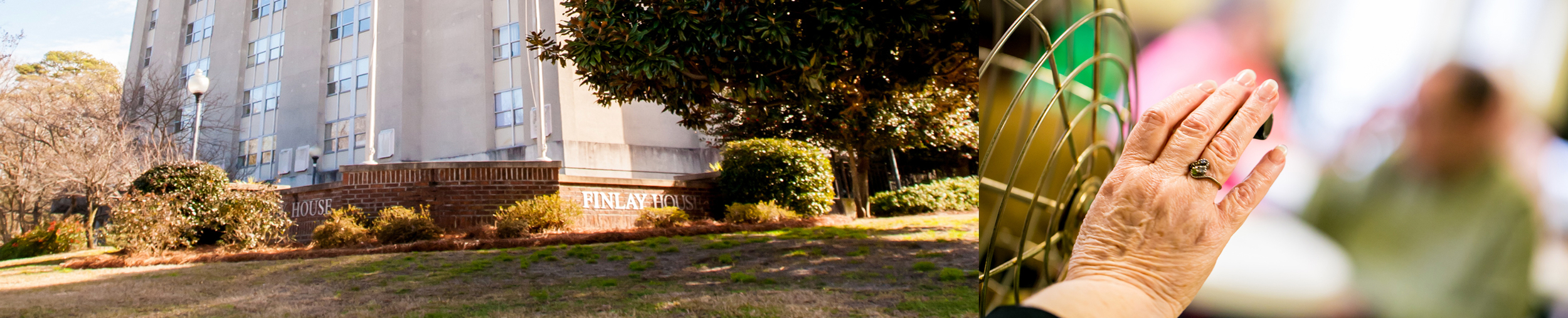 finlay-web-feature8.jpg