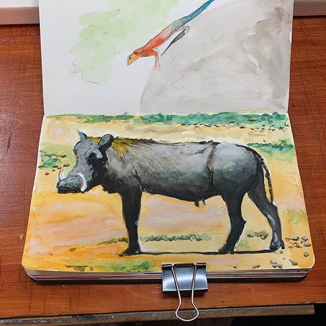 Gouache warthog