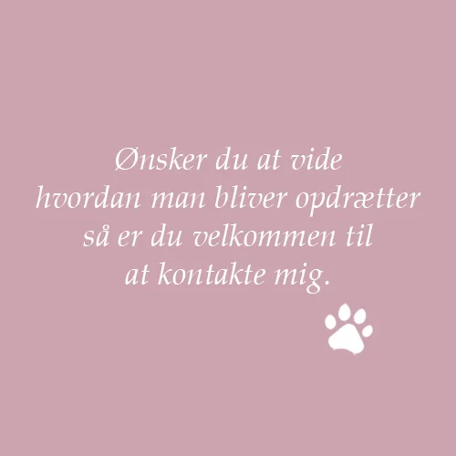 Opdrætter.jpg