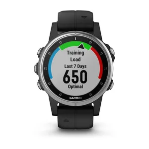 garmin fenix 5s silver