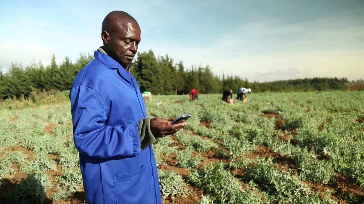How to Address Food Sustainability Challenges in Sub-Saharan Africa