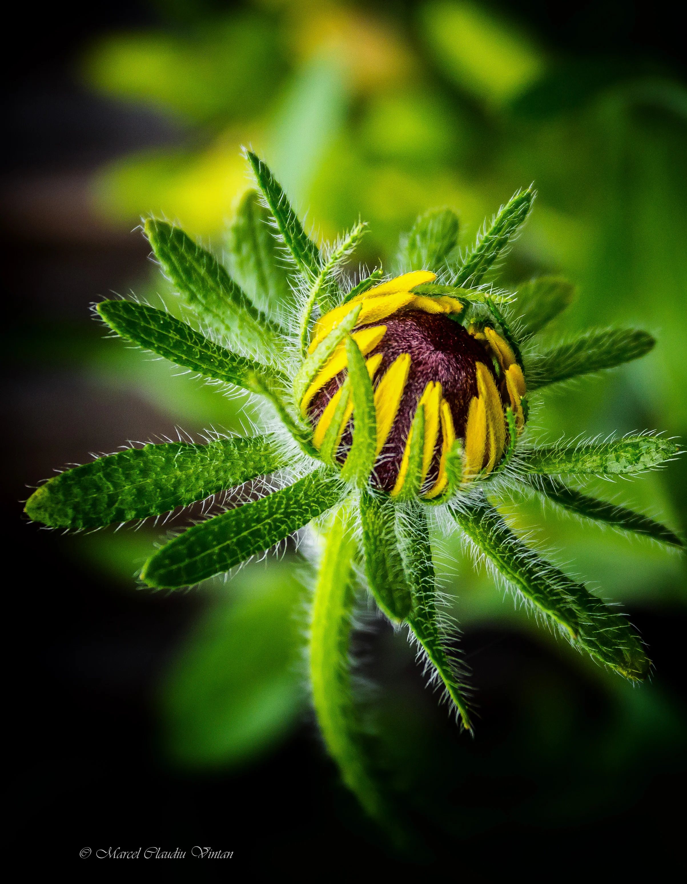 IMG_0016-Edit.jpg