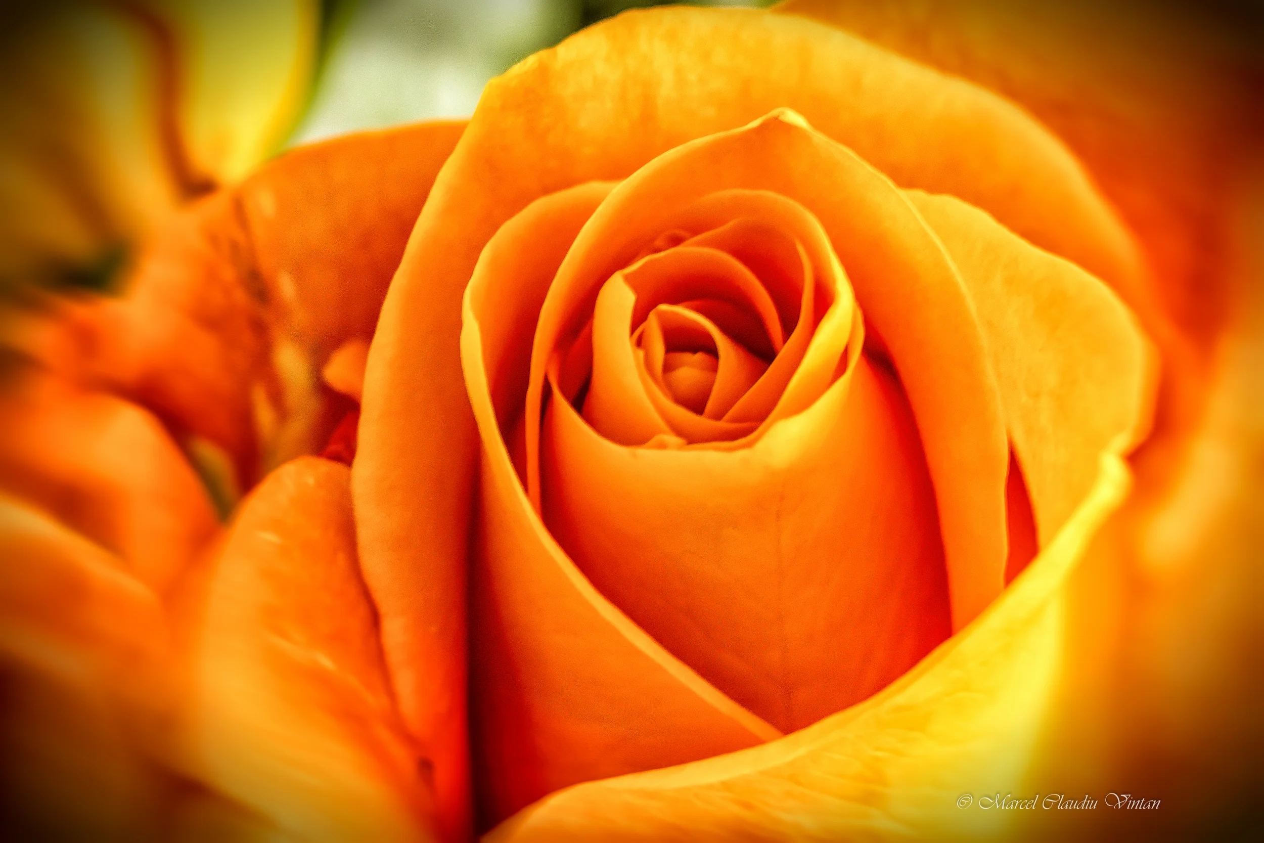 IMG_9961-Edit-Edit-Edit.jpg