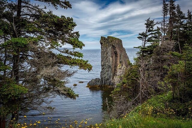 #newfoundland #canon #canonphotography