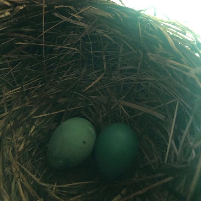 Nest update!! ❤️❤️