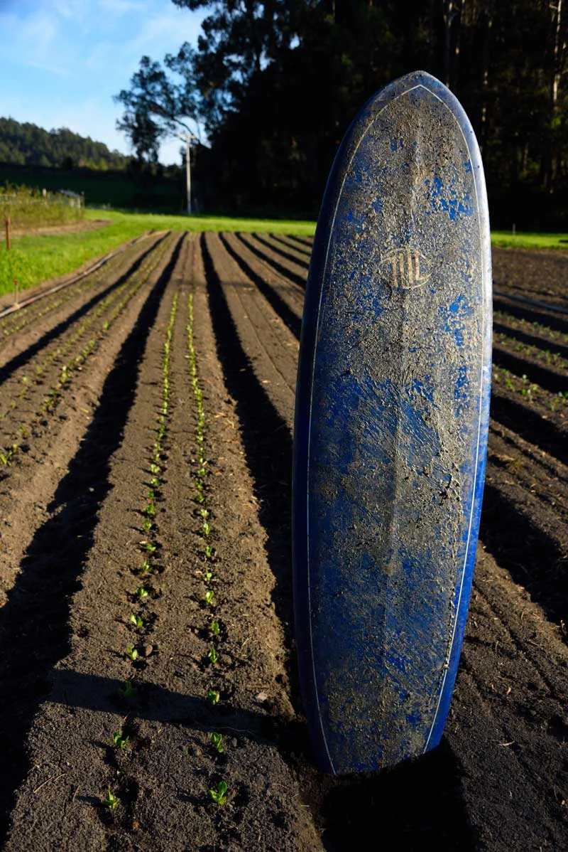 The Farm — Green Oaks Creek Farm