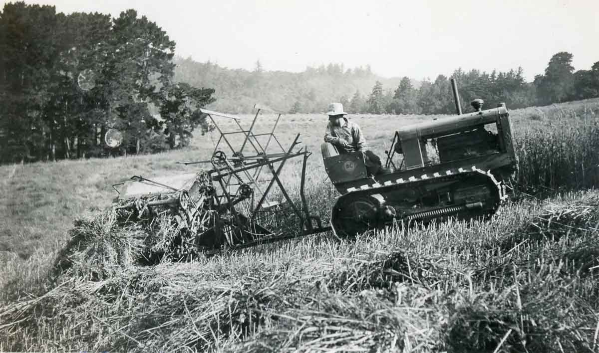 Harvesting-1938-CRO-18.jpg