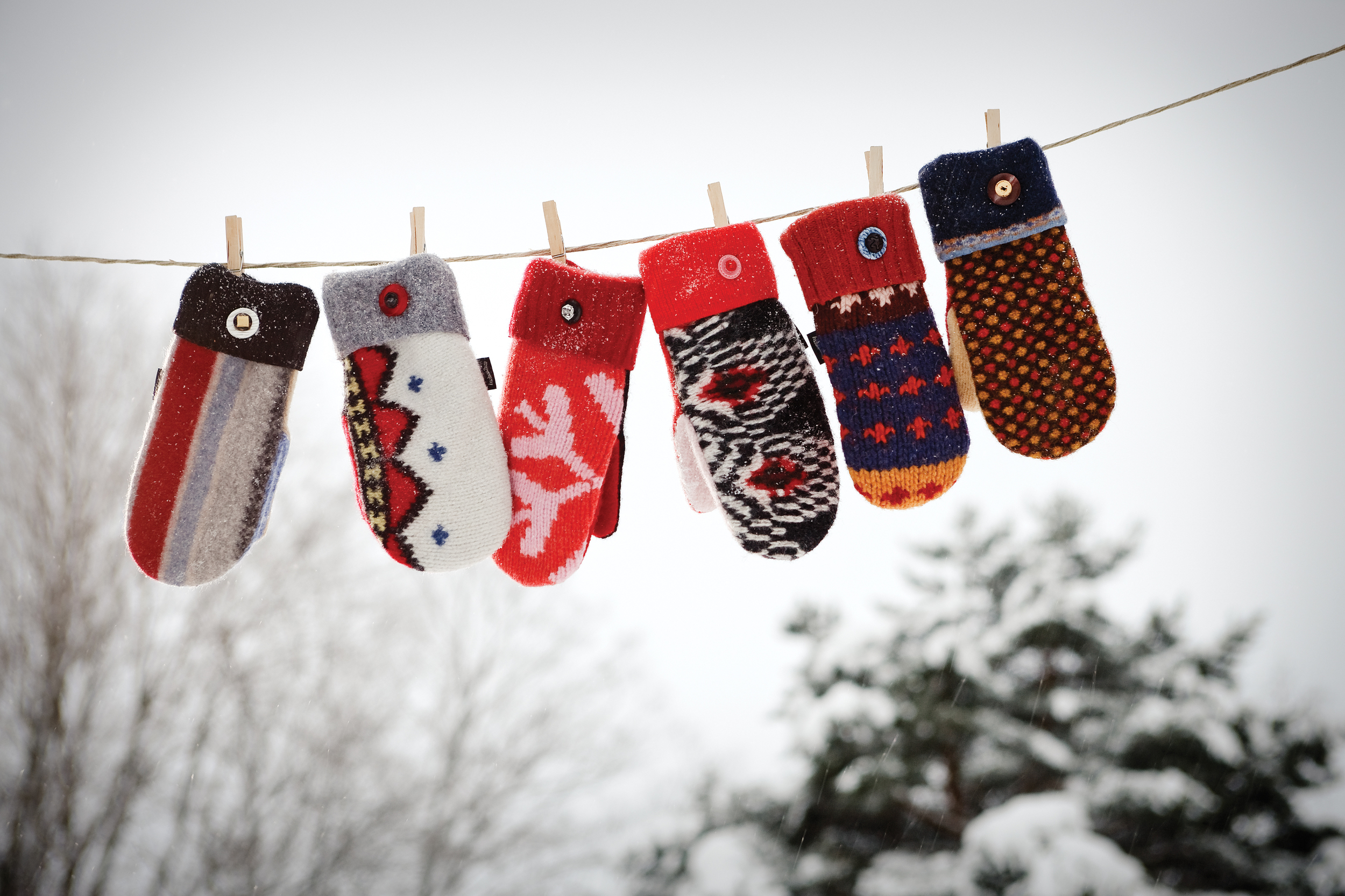 Baabaazuzu Trunk Show .jpeg