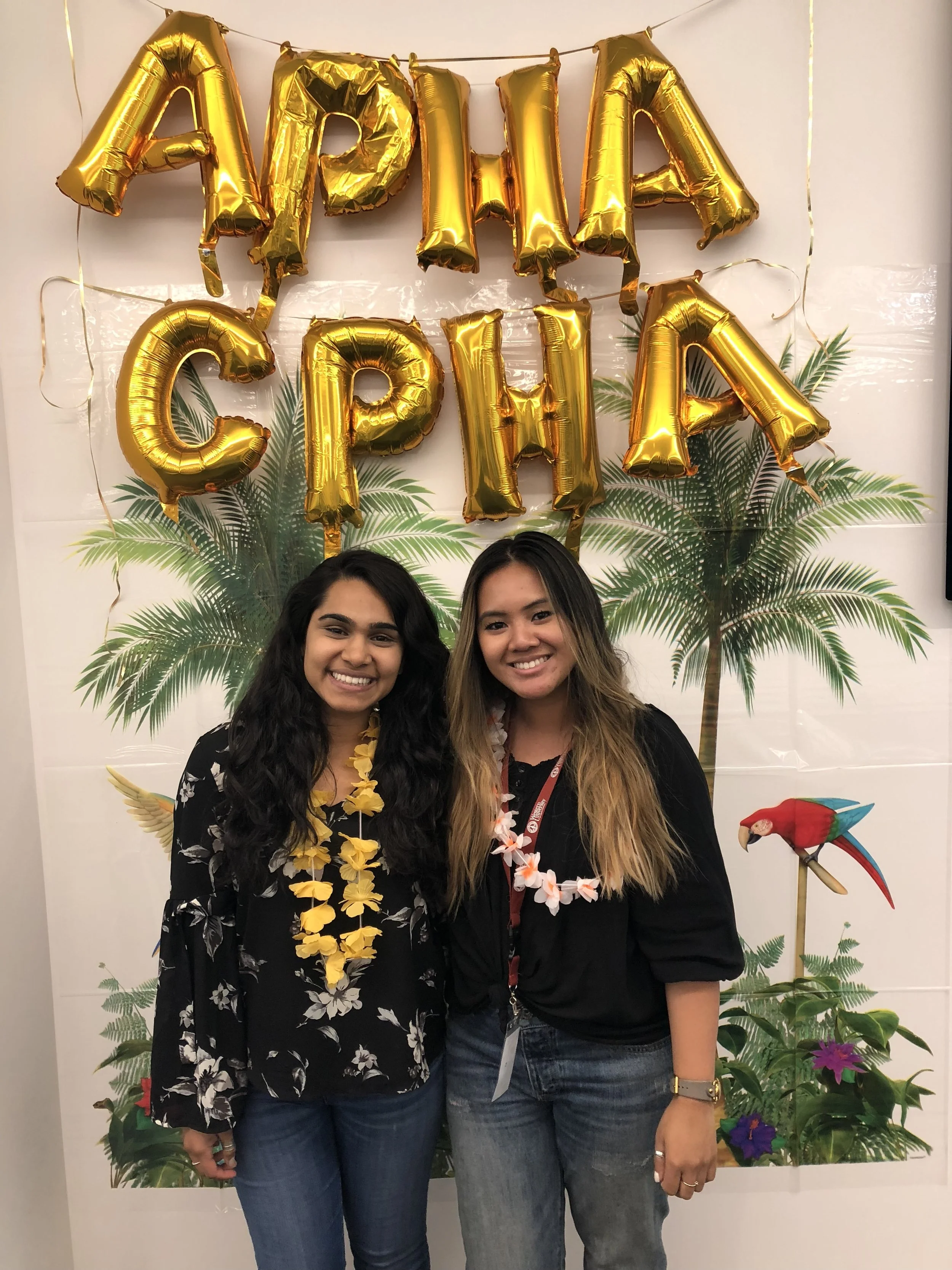 APhA luau 8.16.18 4.jpeg