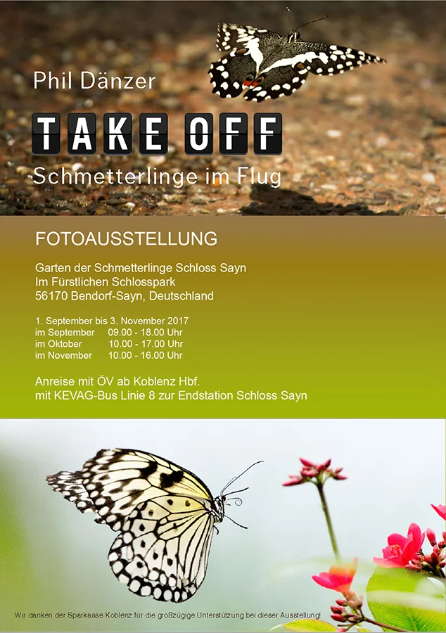 E-Flyer für Squarespace-Website.jpg