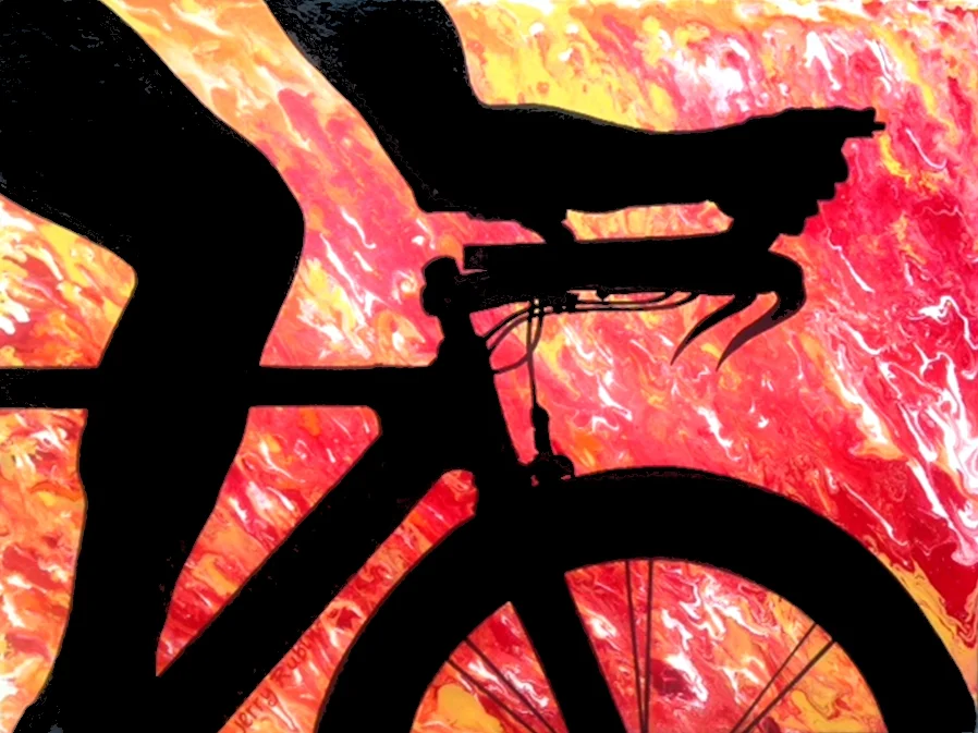 SPANDEX BALLET ON WHEELS.jpg