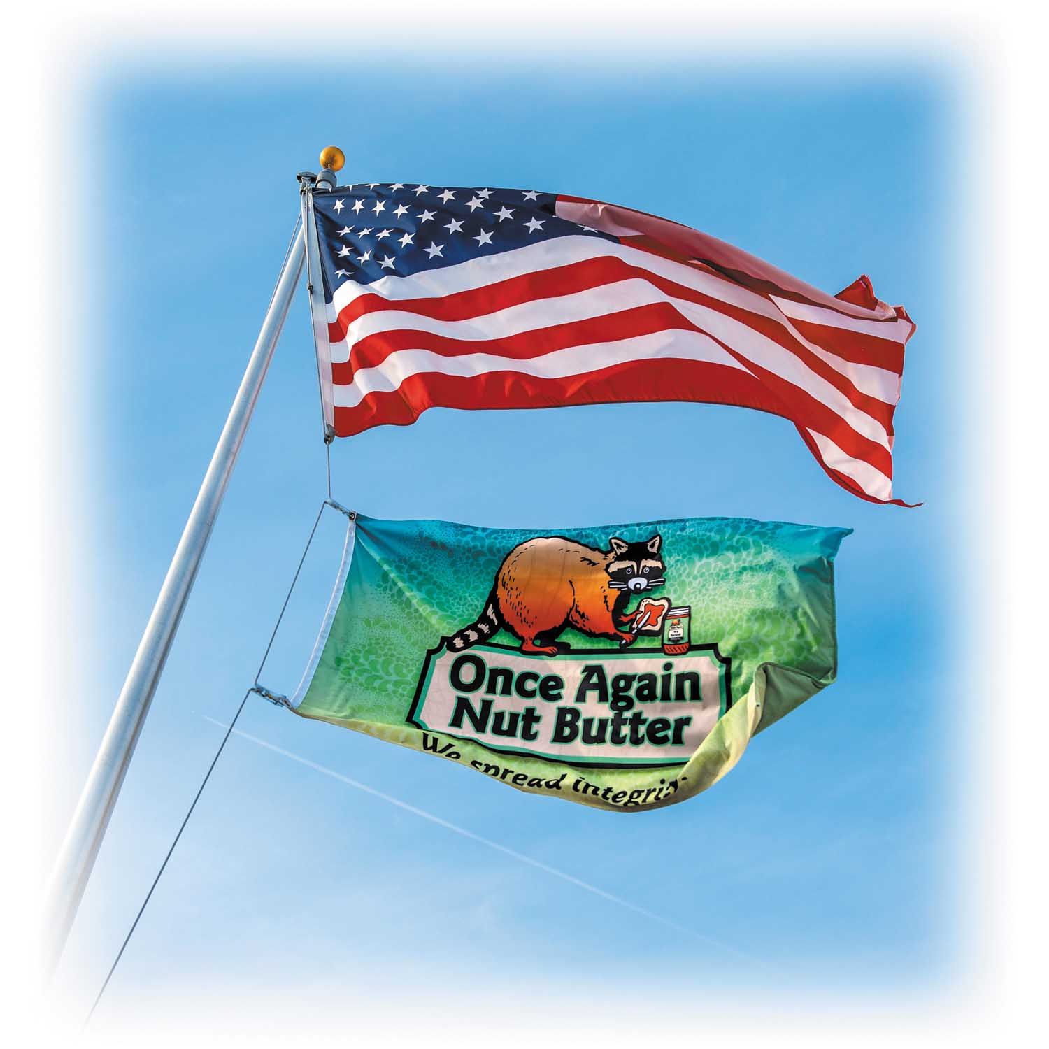 Brand Flag