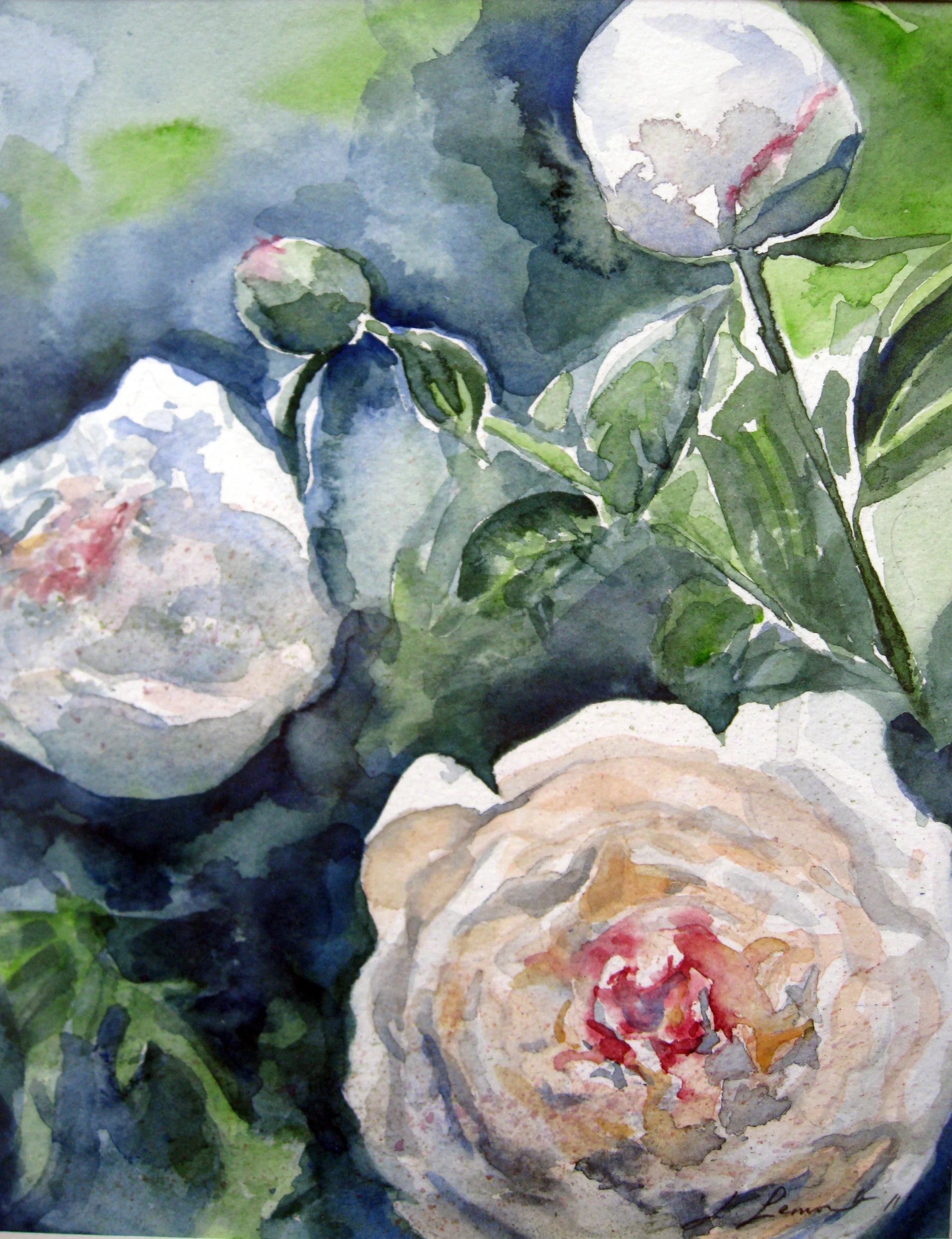 Peonies in a Garden