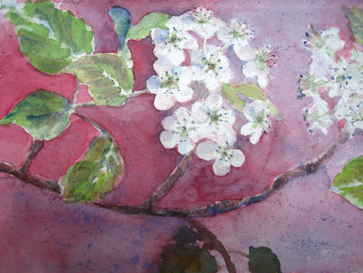 Apple Blossom nr. 1