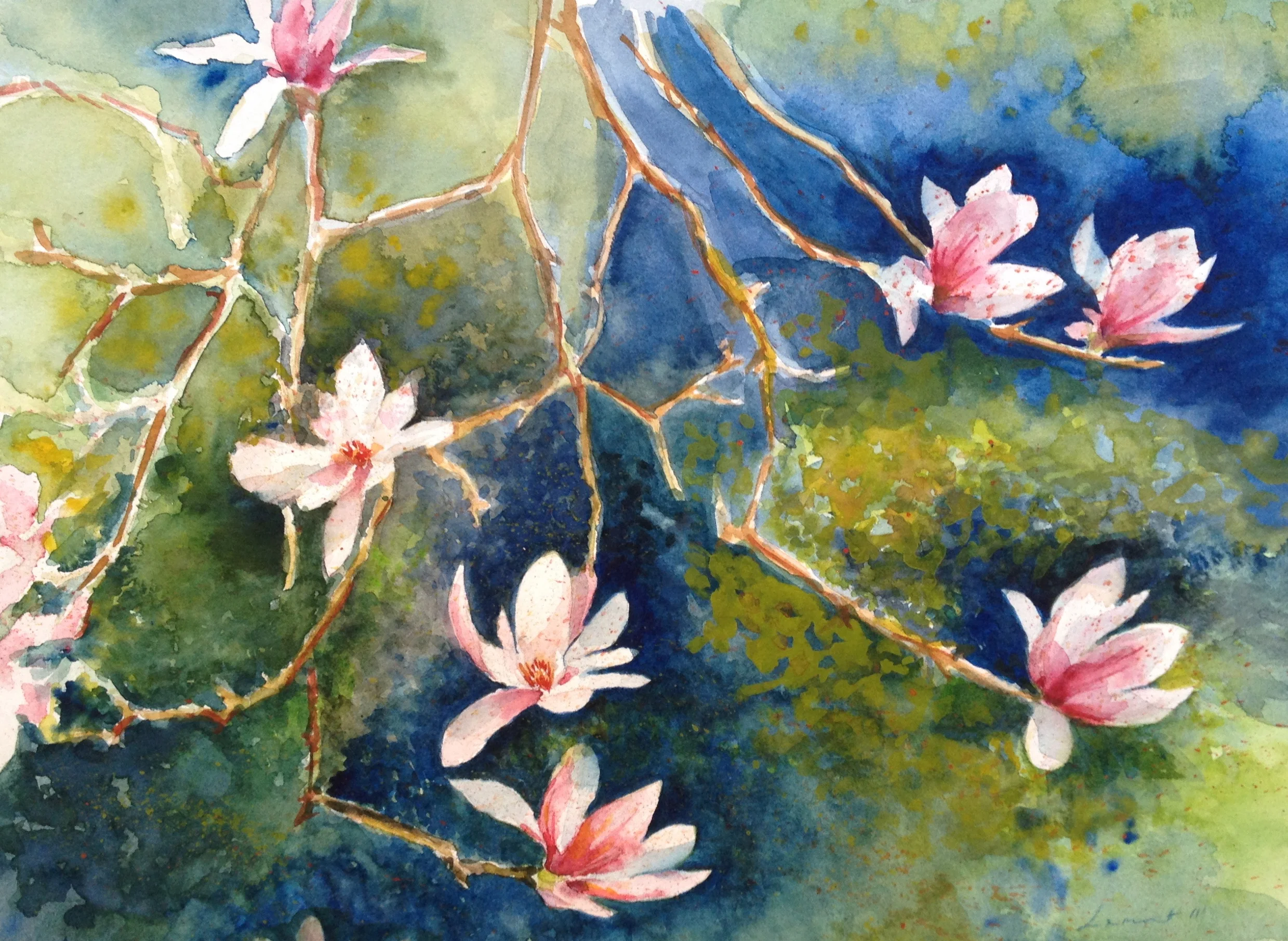 Magnolia Tree