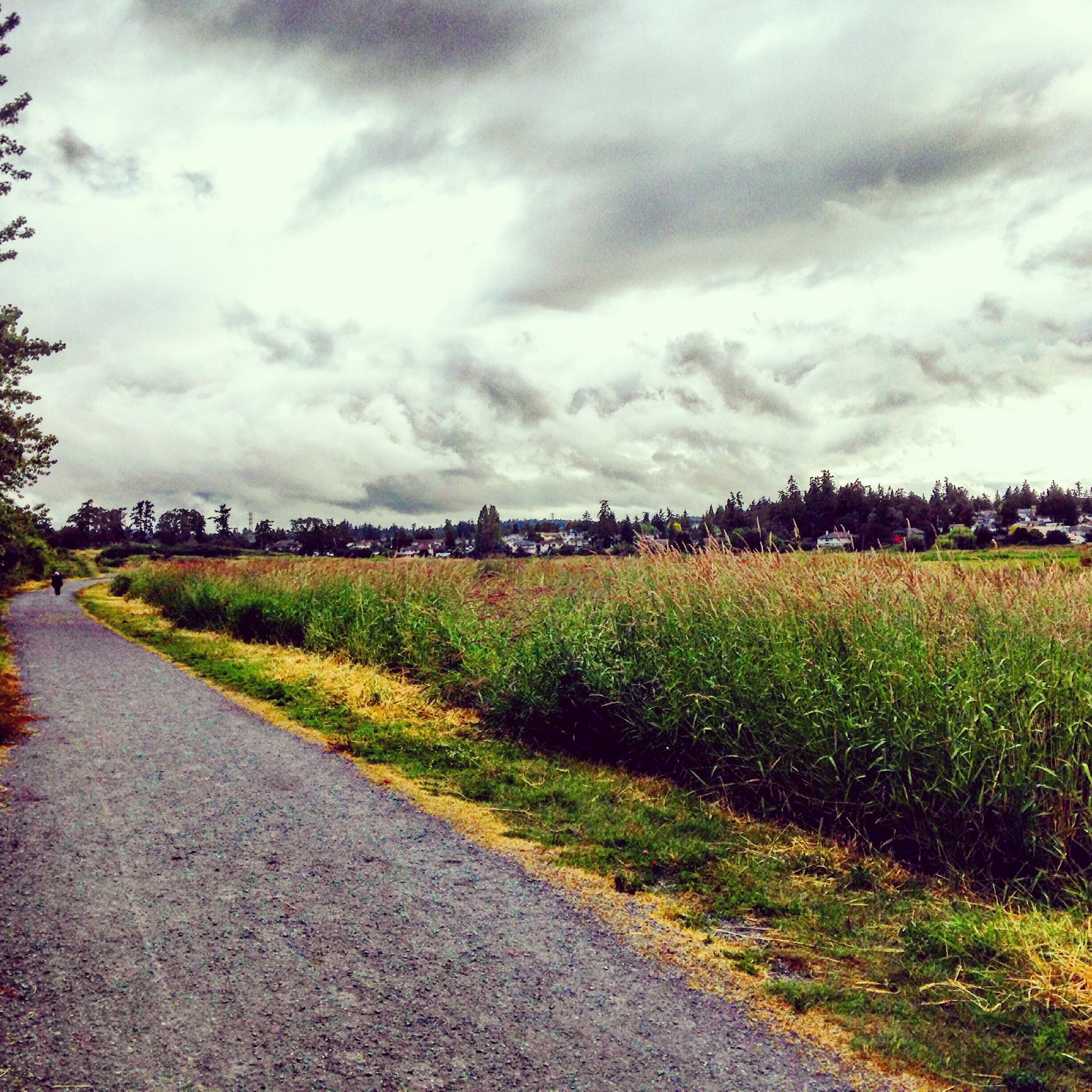 Endless trails for running in Victoria.