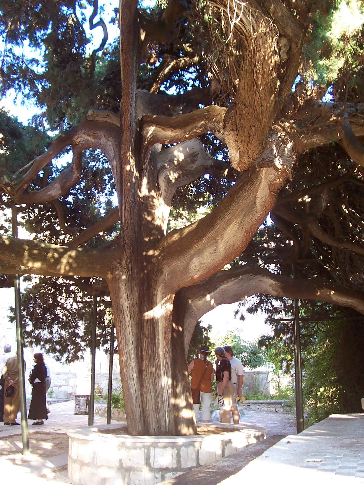 100_8317.jpg