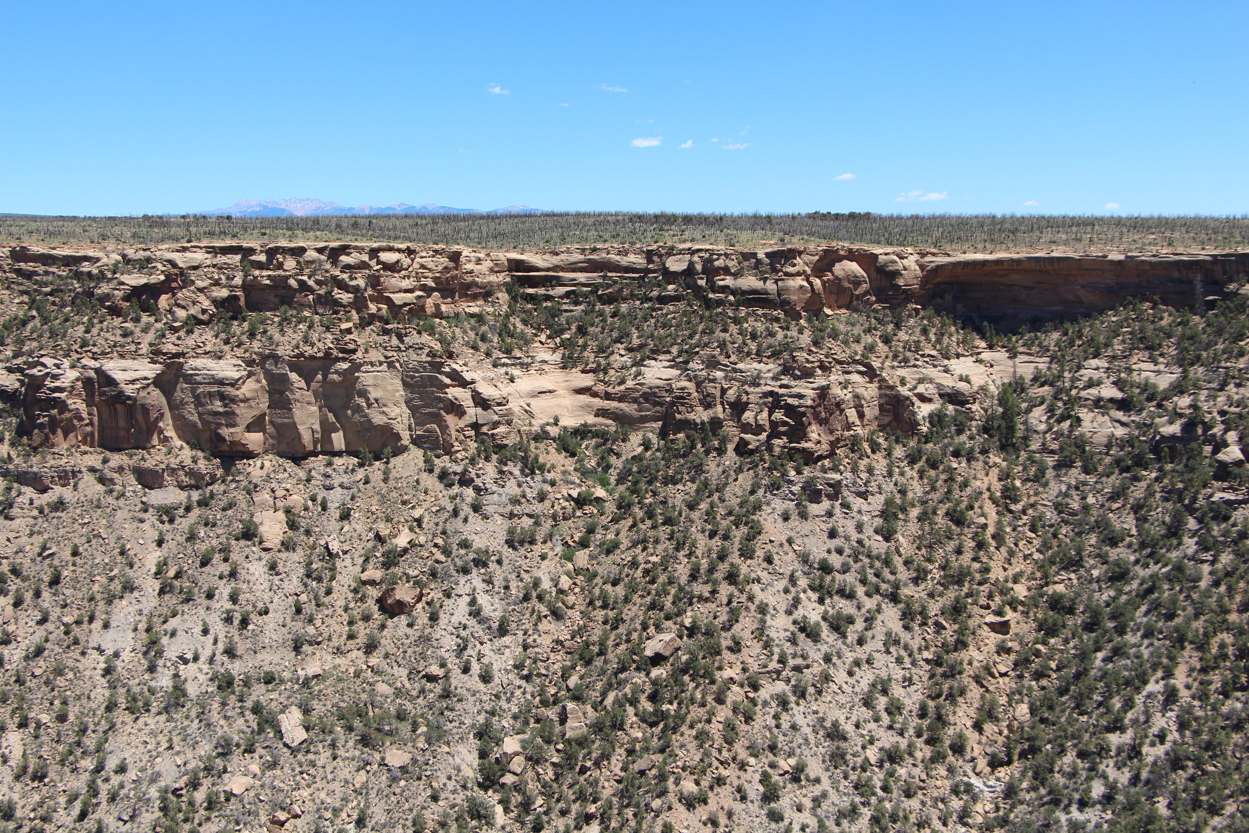 Mesa Verde Valley