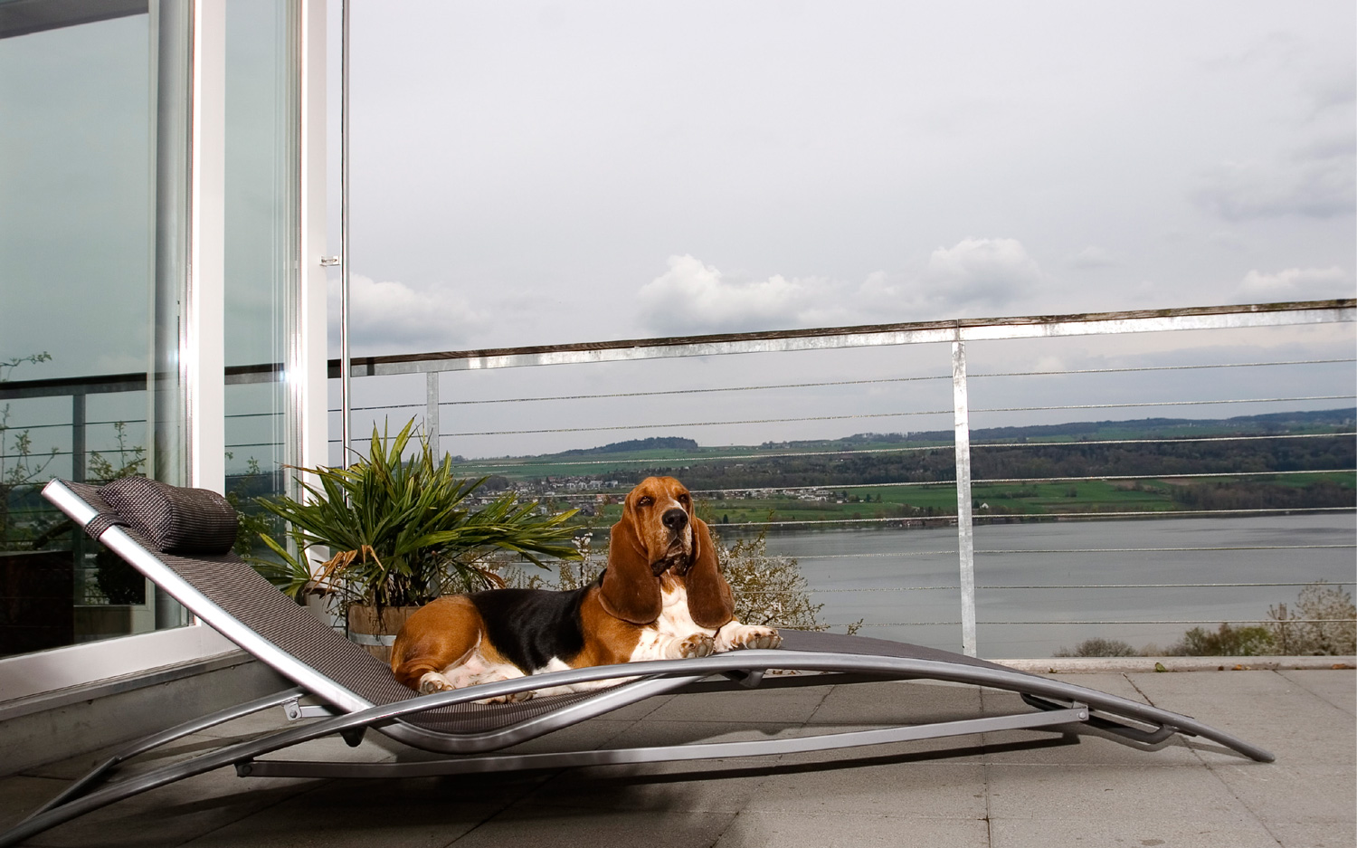 Sir Archibald auf der Terrasse am Hallwillersee