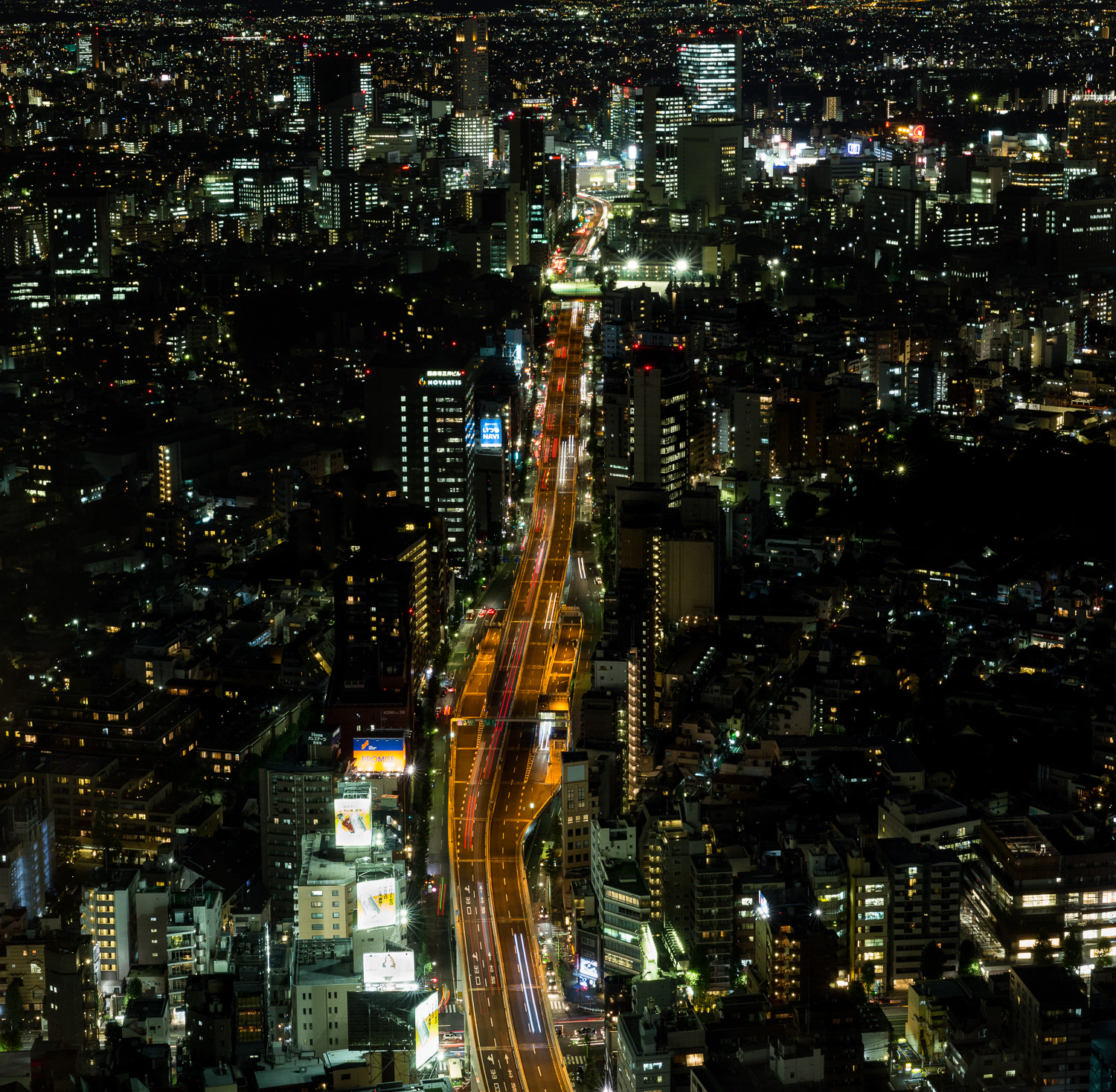 View fron the Mori Tower in Tokyo